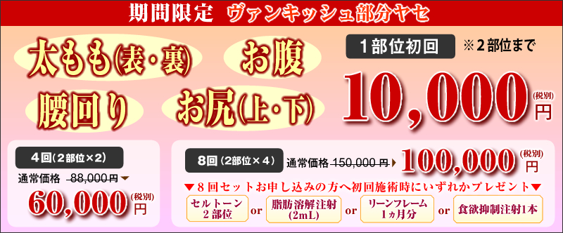 ヴァンキッシュキャンペーン!太ももヤセ・お尻ヤセ(太もも裏表/臀部(お尻)(上下)/お腹/腰回り:1部位初回10,000円※2部位まで。【4回(2部位×2)】通常88,000円が60,000円。【8回(2部位×4)】通常150,000円が100,000円!8回を申し込みの方には、セルトーン2部位 or 脂肪溶解注射(2mL) or リーンフレーム1ヶ月分 or 食欲抑制注射1本のいずれかプレゼント