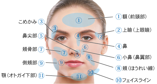 額(前頭部)、上瞼(上眼瞼)、こめかみ、鼻、鼻尖部、小鼻(鼻翼部)、頬骨部、頬(ほうれい線)、側頬部、フェイスライン、顎(オトガイ下部)