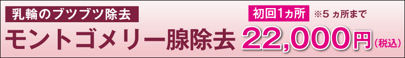 乳輪のブツブツ除去。モントゴメリー腺の除去。1ヵ所22,000円(税込)。